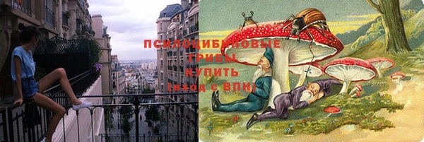 молекула духа Аркадак