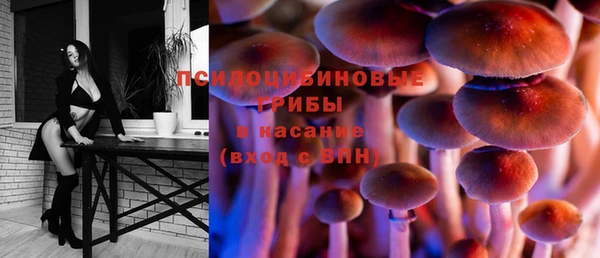 молекула духа Аркадак